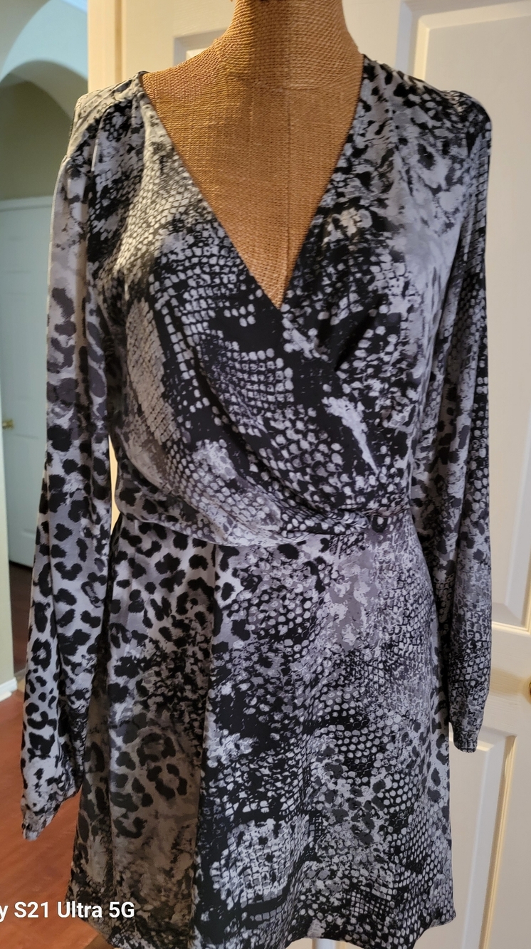 Express                                   Animal Print Mini Dress